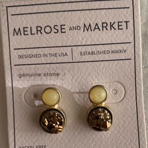 Stone earrings
